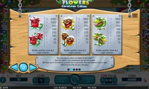 Flowers Christmas Edition Slot Paytable