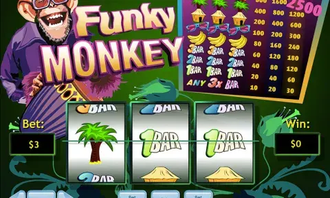Funky Monkey Slot Game