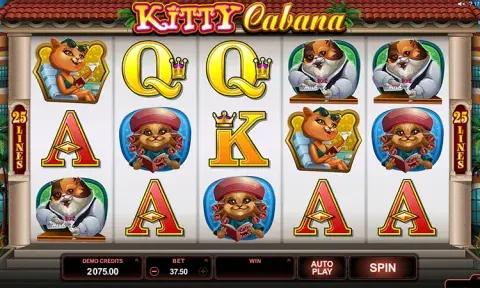 Kitty Cabana Slot Free