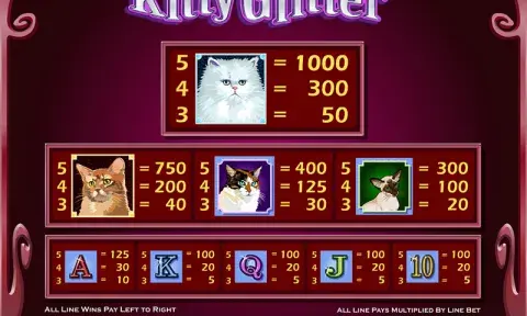 Kitty Glitter Slot Game