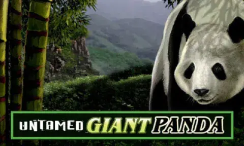 Untamed Giant Panda Slot Logo