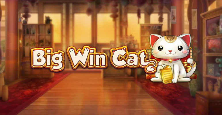The New Play'n Go creation – the Slot Big Win Cat is already on the market