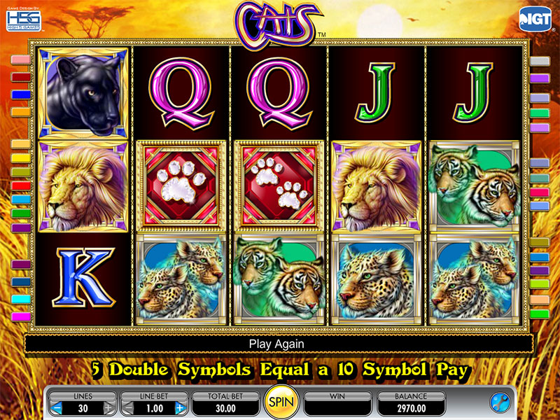 Play the Cats & Cash Slot Machine for Free with No Download