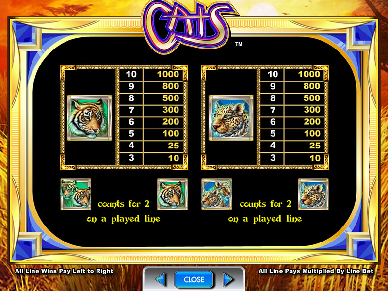 Игровые автоматы cat casino казино онлайн рио бет