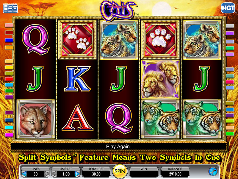 Cats Casino Slot Game