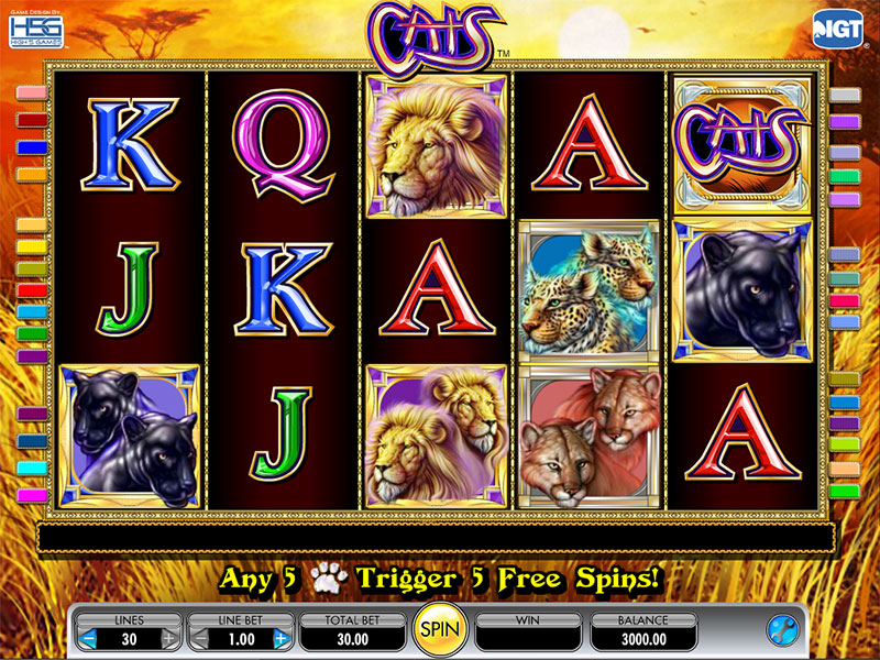 Cats Casino Slot Game