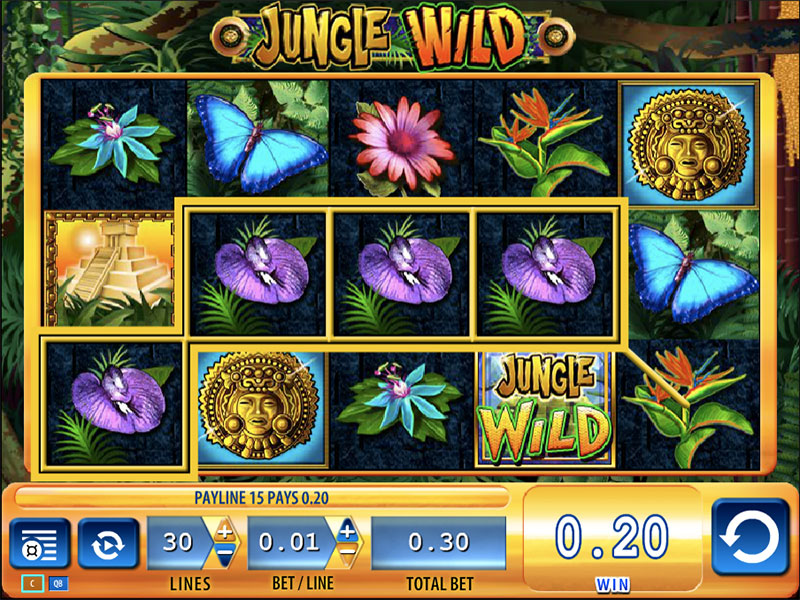 Slot Games Jungle Wild