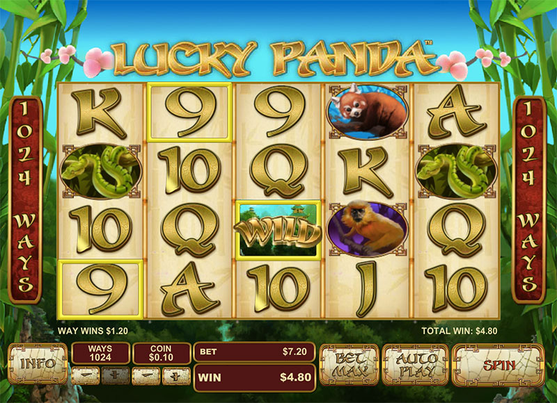 Palace Casino Buffet - גלאוקומה וקטרקט פרופ' בלומנטל @ רמב" Slot Machine