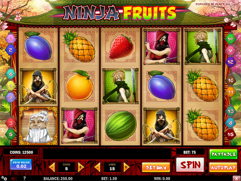 Ninja Fruits Slot Review 🥇 (2023) - RTP & Free Spins