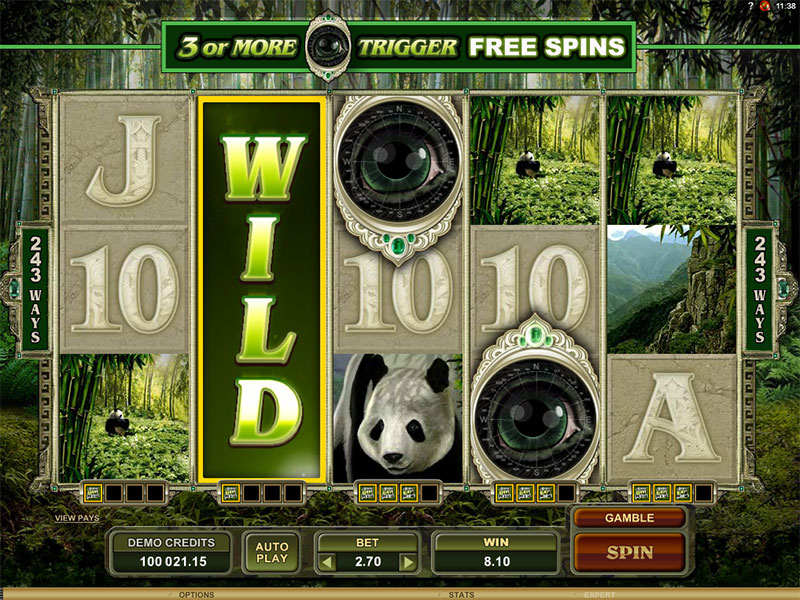 Untamed Giant Panda Slot Gaming