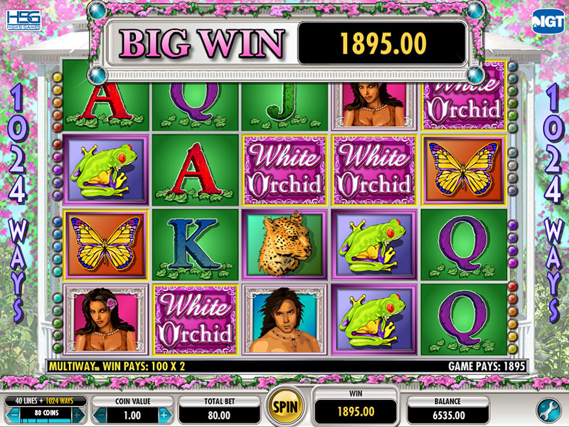 White Orchid Free Slots