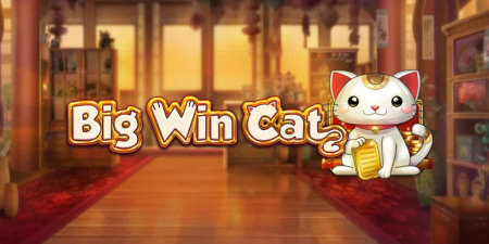 The New Play'n Go creation – the Slot Big Win Cat is already on the market