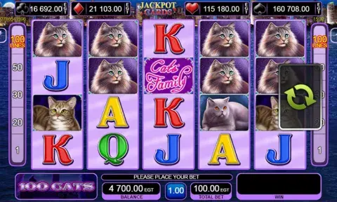 100 Cats Slot Game