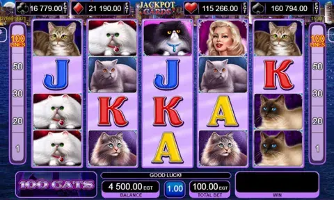 100 Cats Slot Online