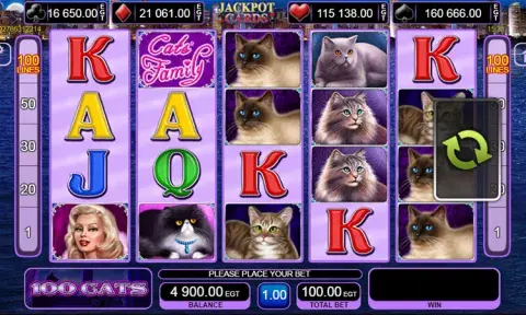 100 Cats Slot