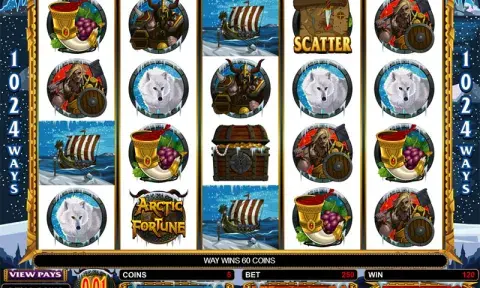 Arctic Fortune Slot Game