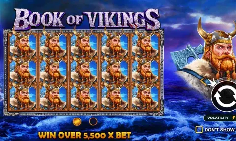 Book of Vikings Slot