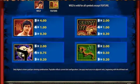 Bruce Lee Slot Paytable