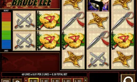 Bruce Lee Slot Game
