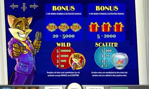 Cats and Cash Slot Game