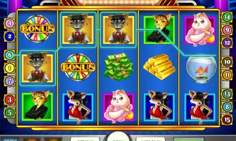 Cats and Cash Slot Online
