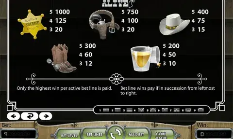 Dead or Alive Slot Paytable