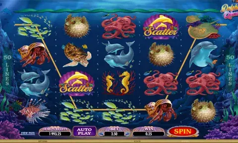Dolphin Quest Slot Free
