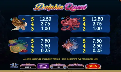 Dolphin Quest Slot Game
