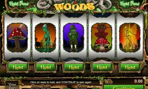 Enchanted Woods Slot Game