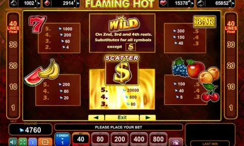 Flaming Hot Slot Game