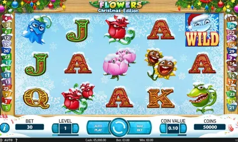 Flowers Christmas Edition Slot Game