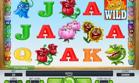 Flowers Slot Game