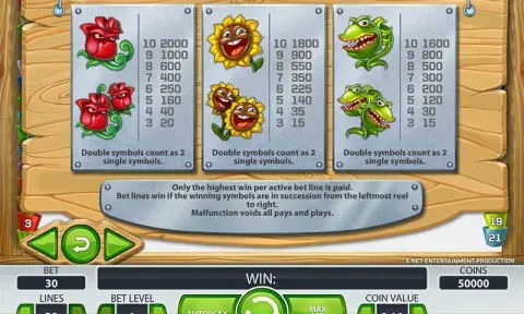 Flowers Slot Paytable