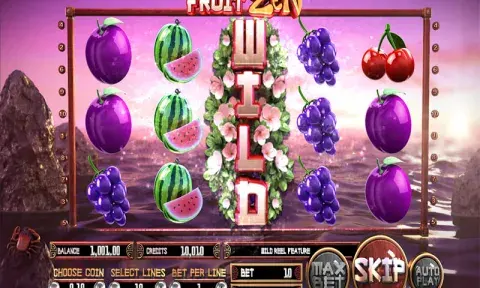 Fruit Zen Slot Bonus