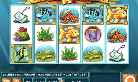 Goldfish Slot Game