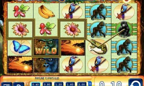 Gorilla Chief 2 Slot Game