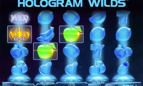 Hologram Wilds Online