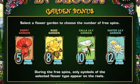 In Bloom Slot Game