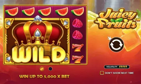 Juicy Fruits Slot