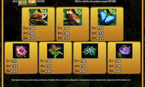 Jungle Wild Slot Paytable