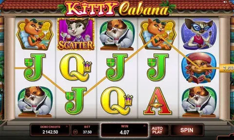 Kitty Cabana Slot Game