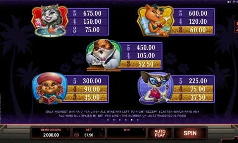 Kitty Cabana Slot Online