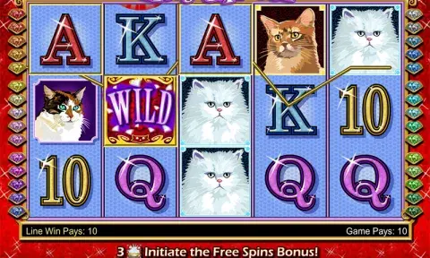 Kitty Glitter Slot Online