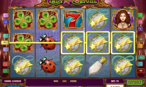 Lady of Fortune Slot Game