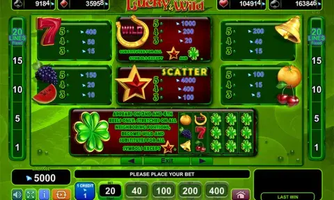 Lucky & Wild Slot Game