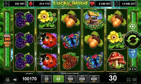 Lucky Wood Slot Game