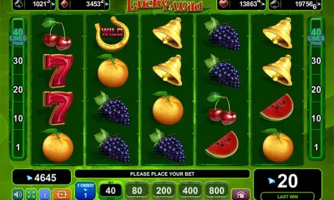 More Lucky & Wild Slot Free