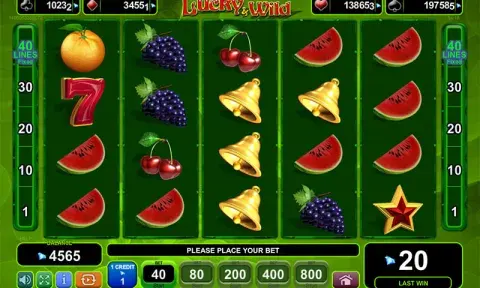 More Lucky & Wild Slot Online
