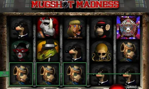 Mugshot Madness Slot Game
