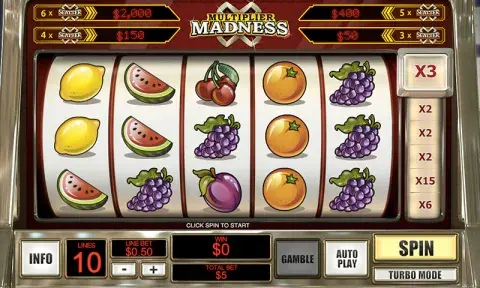 Multiplier Madness Slot Game